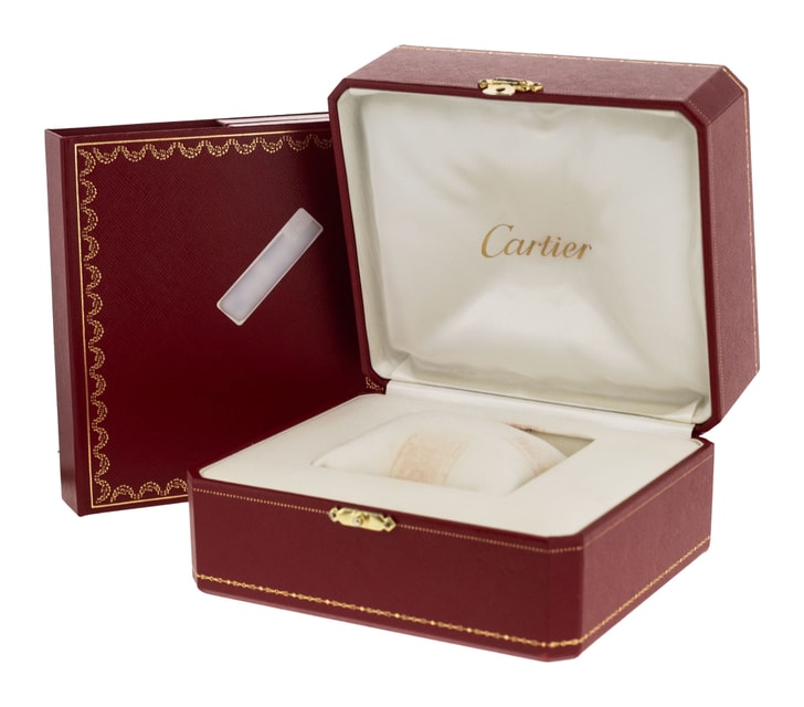 Cartier Santos 100 W20073X8 Image 4